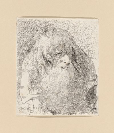 Gammel mann med skjegg og langt hår, fra Raccolta di Teste (Samling av hoder) av Giovanni Domenico Tiepolo