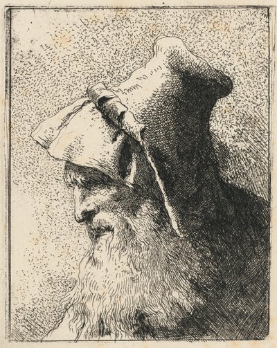 Profil av en gammel mann med skjegg av Giovanni Domenico Tiepolo