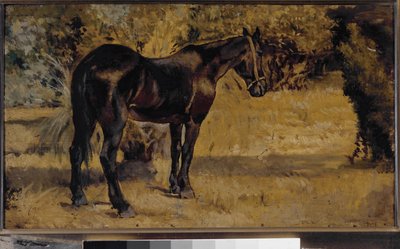 Dark horse (olje på lerret av Giovanni Fattori
