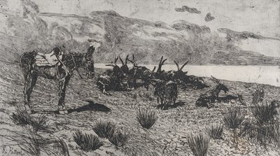 Esel og geiter på en strand om vinteren, 1884-1908. av Giovanni Fattori