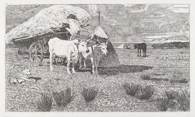 Okser spent for en kjerre (Maremma) av Giovanni Fattori