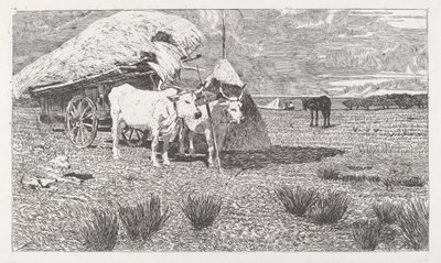 Okser i åk til vognen (Maremma) av Giovanni Fattori