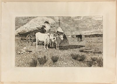Okser og vogn (Maremma) av Giovanni Fattori