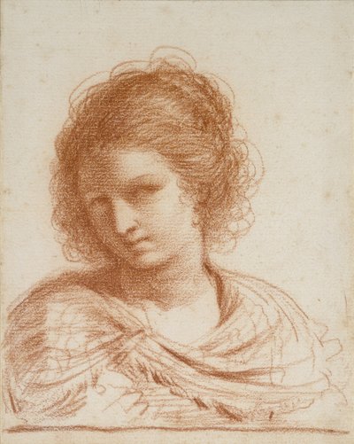 Head of a Young Woman, 1650 - 1666 (rødt kritt på hvitt papir) av Giovanni Francesco Barbieri