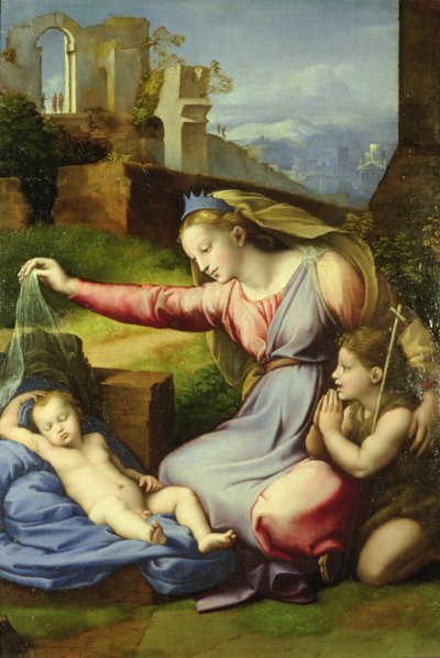 Virgin of the Veil (The Virgin of the Blue Diadem) av Giovanni Francesco Penni