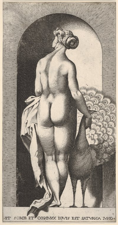 Plate 4: Juno står i en nisje, sett bakfra, og stryker en påfugl til høyre for henne, fr..., 1526. av Giovanni Jacopo Caraglio