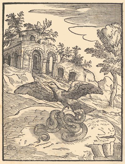 Fugl og slange, 1570. av Giovanni Maria Verdizotti