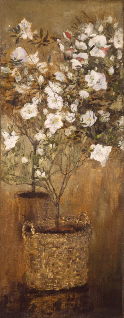 Potter med asalea av Giovanni Segantini