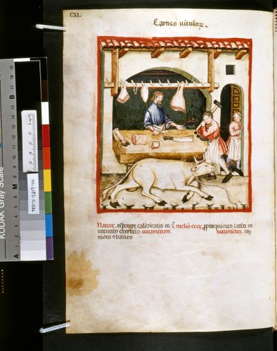  av Giovannino de