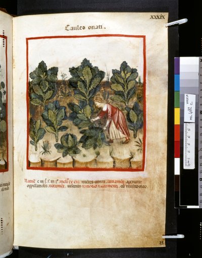  av Giovannino de