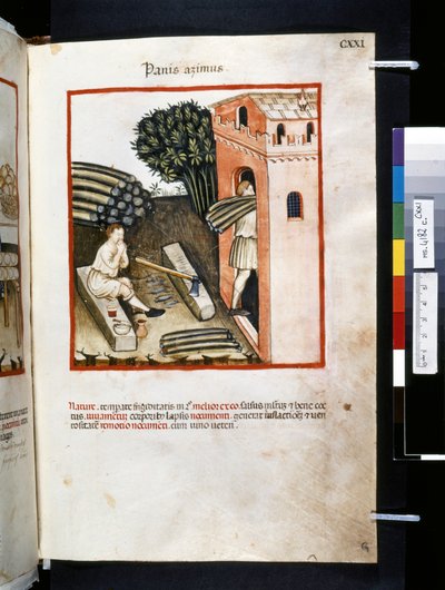  av Giovannino de