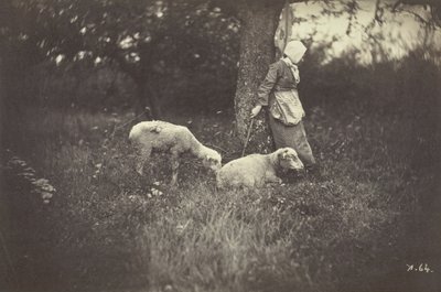 Gjeterinne som lener seg mot et tre, med to sauer, 1870. av Giraudon