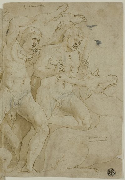 Ancient Sarcophagus Relief with the Labours of Hercules av Girolamo da Carpi