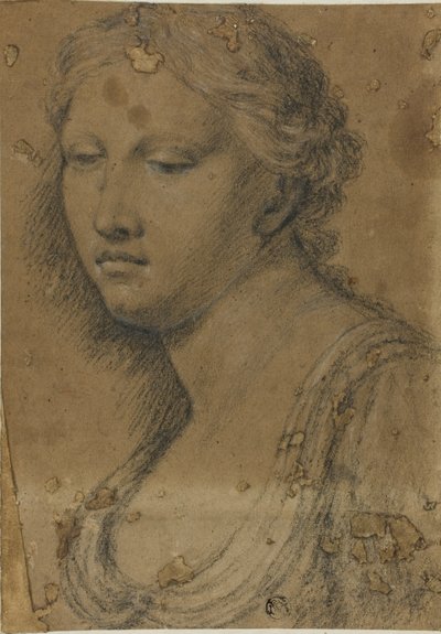 Byste av kvinne av Girolamo da Carpi