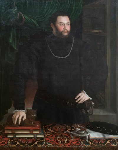 Portrett av en gentleman av Girolamo da Carpi