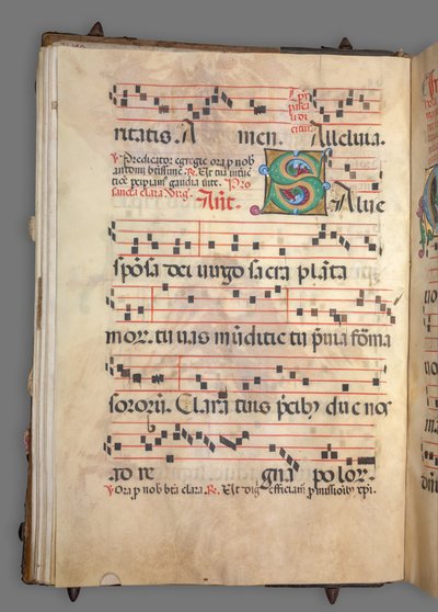  av Girolamo dai Libri