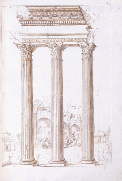 Søylene i tempelet til Castor og Pollux, med fredens tempel i bakgrunnen, ca. 1550 (en original tegning i svart kritt, penn og brunt blekk) av Giulio (circle of) Romano
