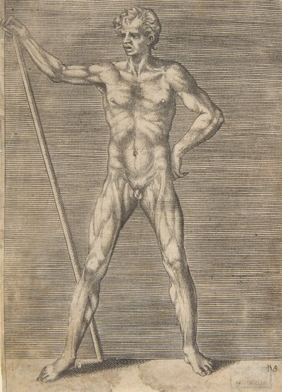 Flitt mann sett forfra, holder en pinne, ca. 1531-76. av Giulio Bonasone