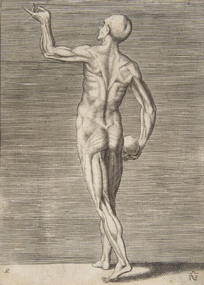 Mann sett fra baksiden, holder en hodeskalle i høyre hånd, 1500-tallet. av Giulio Bonasone