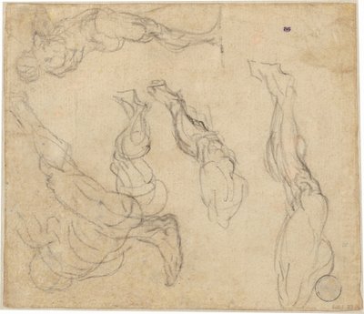 Head of a Boy (verso) av Giulio Campagnola