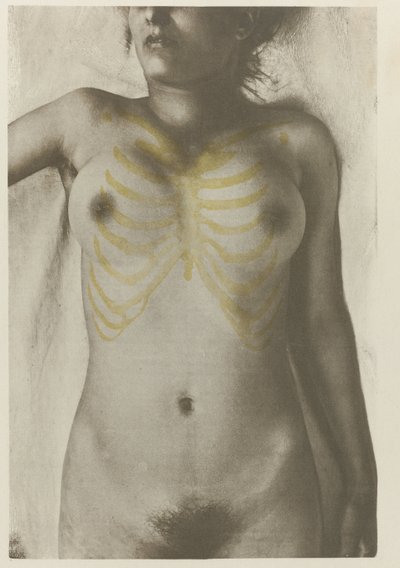 Anatomisk foto av en kvinnelig lijk: 