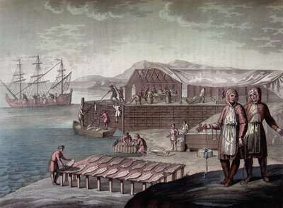 Torskefiske laget av innbyggerne i Newfoundland - i "" Le costume ancien et moderne"" av Ferrario, red. Milan av Giulio Ferrario