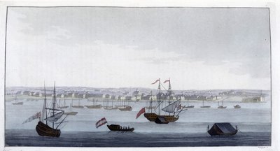 Utsikt over byen Paramaribo (Guyana) - i "" The Old and Modern Costume"" av Dr. Jules Ferrario, red. Milan av Giulio Ferrario
