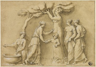Fødsel av Adonis av Giulio Romano
