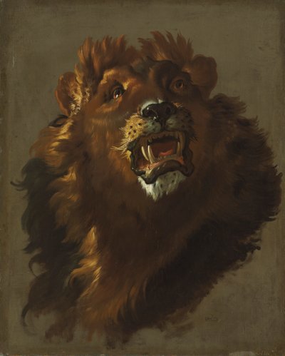 Løve av Giuseppe Baldrighi