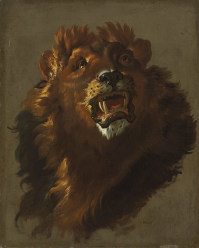 Løve, 1750-tallet. av Giuseppe Baldrighi