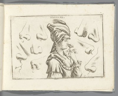 Lukt Odorare (tittel på objekt) av Giuseppe Maria Mitelli