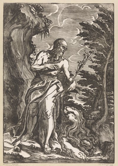 Saint Hieronymus i villmarken av Giuseppe Scolari