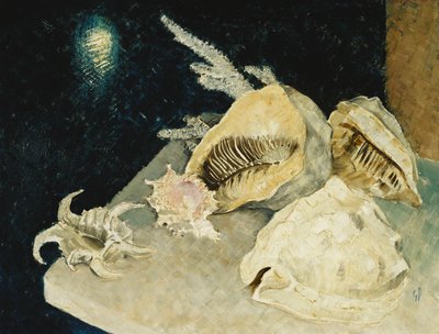 Skjell av Glyn Warren Philpot