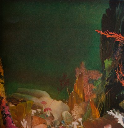 Under havet, c1904-1924, 1924 av Glyn Warren Philpot