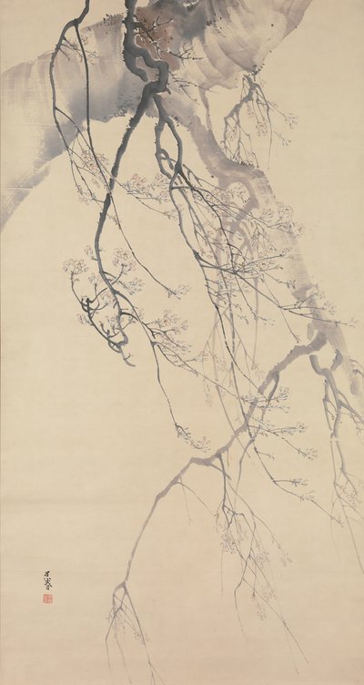 Kirsebærblomster, 1700-tallet. av Go Shun