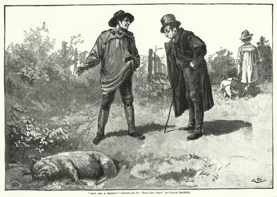 "Er hun ikke en skjønnhet?" (gravering) av Gordon Frederick (after) Browne