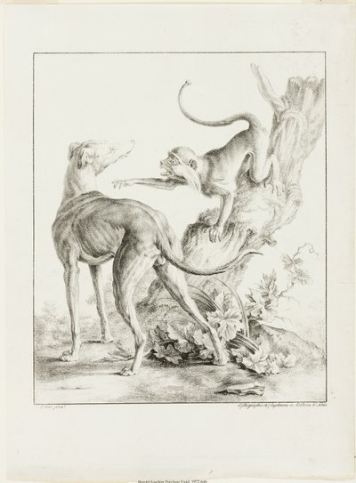 Hund og ape av Gottfried Engelmann