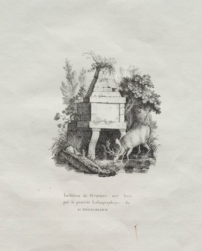Samling av litografiske essays: A Fountain Imitating Woodcut, ca. 1816. av Gottfried or Godefroy Engelmann