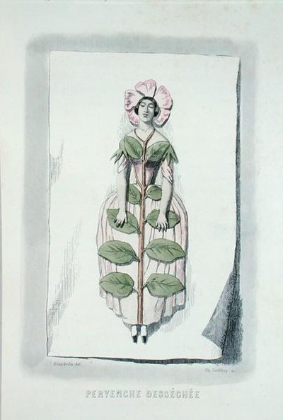 Periwinkle visnet, fra 