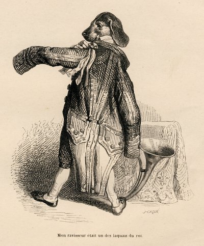 Hund i rollen som en lakei av kongen. Miniatyrbilder illustrert av JJ Granville. Gravering signert Caque i delen "Story of a Hare" skrevet av PJ Stahl i "Scener fra dyrenes private og offentlige liv". Paris, J. Hetzel og Paulin av Grandville