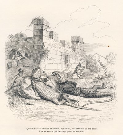 Øgle som røyker i solen med en av vennene hans. Miniatyrbilder illustrert av JJ Granville. Gravering signert Andrew, Best og Leloir i delen med tittelen "Memories of an old crow" skrevet av PJ Stahl i "Scener fra dyrenes private og offentlige liv". av Grandville