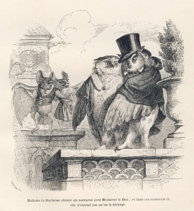 Flaggermus lytter til en ugle og en ugle synger. Vignetter illustrert av JJ Granville. Gravering signert Breviere i delen med tittelen "Memories of an old crow" skrevet av PJ Stahl i "Scener fra dyrenes private og offentlige liv". Pa av Grandville