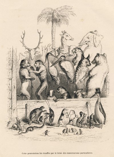 Samtale mellom dyr. Miniatyrbilder illustrert av JJ Granville. Gravering signert Breviere i prologen med tittelen "Parlamentary Summary" skrevet av PJ Stahl i "Scener fra dyrenes private og offentlige liv". Paris, J. Hetzel og Paulin av Grandville