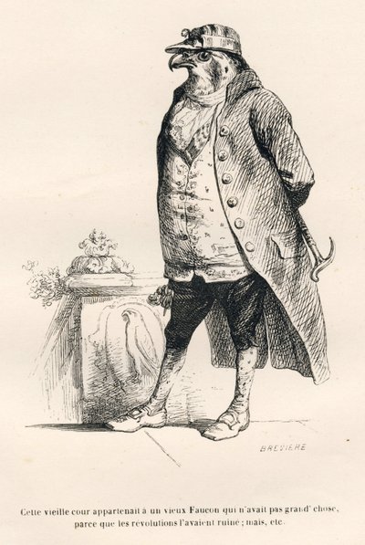 Faucon ødelagt av revolusjoner. Miniatyrbilder illustrert av JJ Granville. Gravering signert Breviere i delen med tittelen "Memories of an old crow" skrevet av PJ Stahl i "Scener fra dyrenes private og offentlige liv". Paris, J. Hetzel og Pauli av Grandville