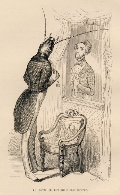 Insekt ser på sin menneskelige refleksjon i speilet). Miniatyrbilder illustrert av JJ Granville. Gravering signert Andrew, Best og Leloir i delen med tittelen "The adventures of a butterfly" skrevet av PJ Stahl i "Scener fra dyrs private og offentlige liv av Grandville