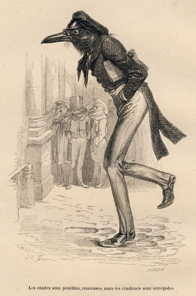 Studiene er vanskelige, dyre, men studentene er uforferdede. Miniatyrbilder illustrert av JJ Granville. Gravering signert Caque i delen med tittelen "Dyrelegene" skrevet av Pierre Bernard i "Scener fra dyrenes private og offentlige liv av Grandville