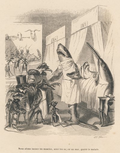 Doktorhaier forklarer operasjonen deres. Miniatyrbilder illustrert av JJ Granville. Gravering signert Godard i delen med tittelen "Dyrelegene" skrevet av Pierre Bernard i "Scener fra dyrenes private og offentlige liv". Av av Grandville