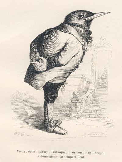 Merle "gammel, nedbrutt, snakkesalig, lunefull, men god, men hengiven og hjemlig av temperament". Miniatyrbilder illustrert av JJ Granville. Gravering signert Tamisier i delen med tittelen "Memories of an old crow" skrevet av PJ Stahl i "Scenes de la vie av Grandville