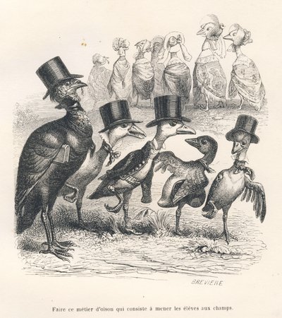Goslings jobb består i å bringe elevene ut på feltene. Gjessene flytter fra barnet sitt. Miniatyrbilder illustrert av JJ Granville. Gravering signert Breviere i delen med tittelen "Guide-esel for bruk av dyr som ønsker å oppnå heder" skrevet av Grandville