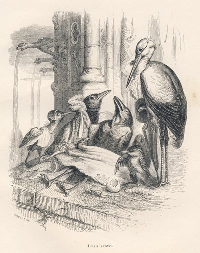 Død av en kråke sammen med familien og en stork. Miniatyrbilder illustrert av JJ Granville. Gravering signert Breviere i delen med tittelen "Memories of an old crow" skrevet av PJ Stahl i "Scener fra dyrenes private og offentlige liv". P av Grandville